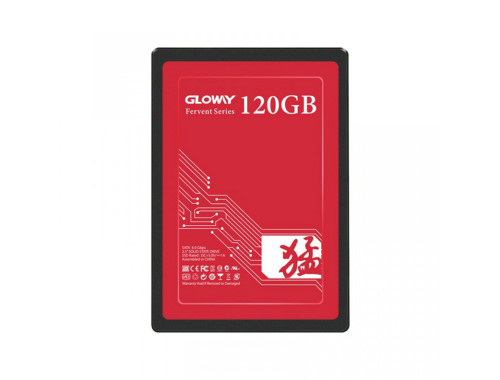 حافظه SSD اینترنال گلووی مدل FER series ظرفیت 120 گیگابایت