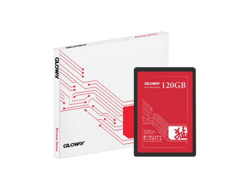 حافظه SSD اینترنال گلووی مدل FER series ظرفیت 120 گیگابایت