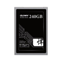 حافظه SSD اینترنال گلووی مدل FER series ظرفیت 240 گیگابایت