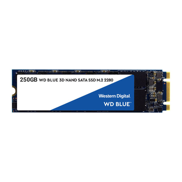 Western Digital blue SATA M.2 2280 Internal SSD Drive 250GB
